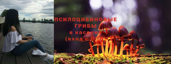 a pvp Аркадак