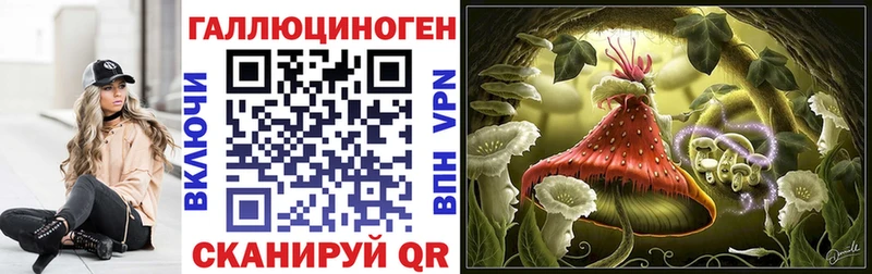 Псилоцибиновые грибы Psilocybine cubensis  Купить  Кудымкар 